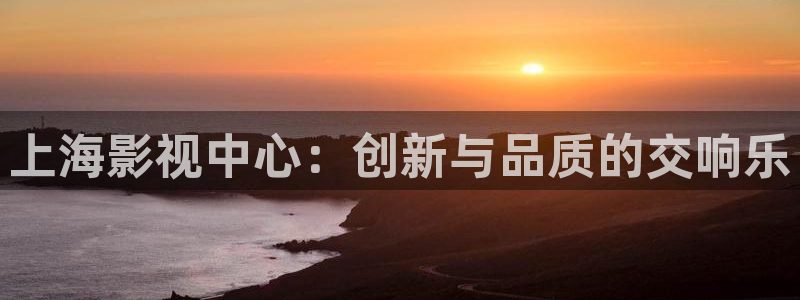午夜电影aaa：上海影视中心：创新与品质的交响乐