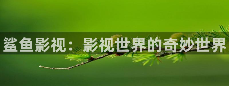 午夜剧院：鲨鱼影视：影视世界的奇妙世界