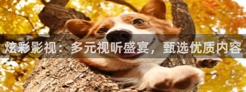 成人黄色午夜影院：炫彩影视：多元视听盛宴，甄选优质内容
