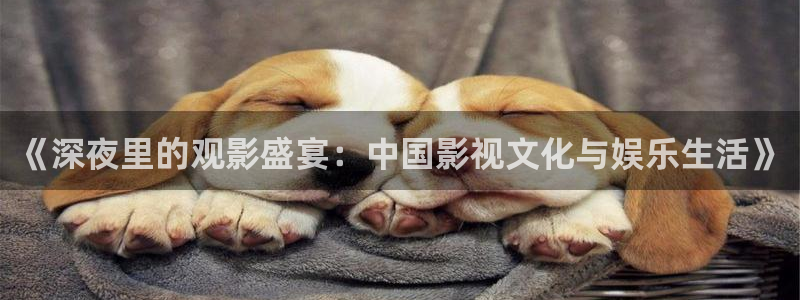 琪琪午夜电影：《深夜里的观影盛宴：中国影视文化与娱乐生活》