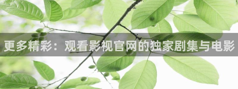 qq2002影视院午夜：更多精彩：观看影视官网的独家剧集与电影