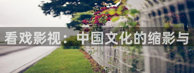 神马影视午夜剧场：看戏影视：中国文化的缩影与