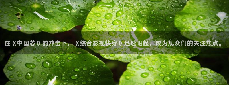 6080午夜伦三级理论电影：在《中国芯》的冲击下，《综合影视快穿》迅速崛起，成为观众们的关注焦点。