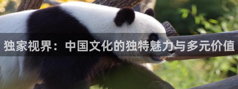 午夜影院在线体验区：独家视界：中国文化的独特魅力与多元价值
