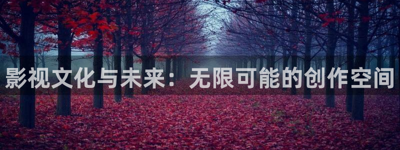 韩国美女主播午夜影院：影视文化与未来：无限可能的创作空间