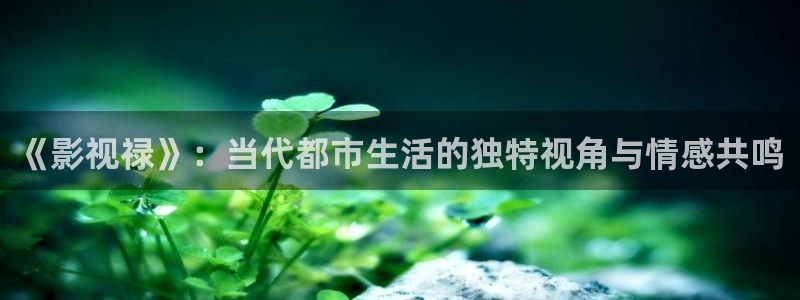 久久国产成人午夜av影院宅：《影视禄》：当代都市生活的独特视角与情感共鸣