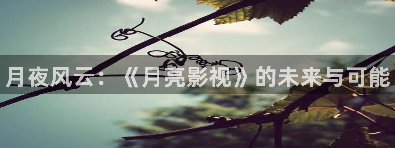 午夜九七电影院：月夜风云：《月亮影视》的未来与可能