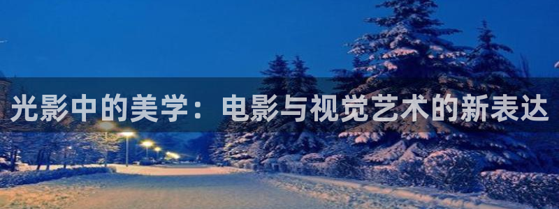 老王午夜影院：光影中的美学：电影与视觉艺术的新表达