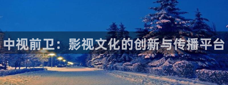 午夜樱桃视频：中视前卫：影视文化的创新与传播平台